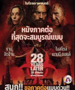 thaimovie4k.graphy.com